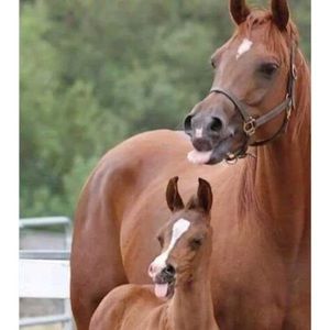 Meet your Posher, Christy